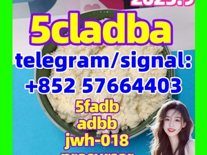 5cladba 5fadb adbb jwh-018 6cladba 1119-51-3 584-08-7 407-97-6 China supplier 68-12-2 49851-31-2 109555-87-5