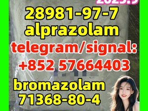 CAS 71368-80-4 Bromazolam - China 28981-97-7 alprazolam
