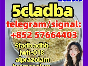 5cladba raw material 5CL-ADB-A precursor raw 5cladba 5f adb 4fadb