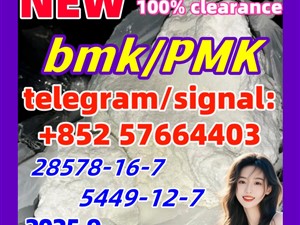 New BMK 5449-12-7 Powder glycerin acid 10250-28-7 718-08-1 49851-31-2 New PMK 28578-16-7 Ethyl Glycidate