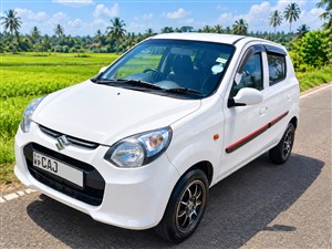 Alto 800 Car for Rent.