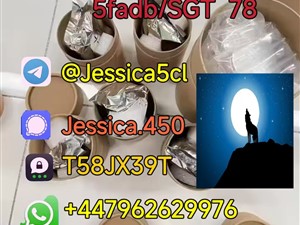5F-ADB ADBB 5cladb precursor A-PVP 5cl rwa materials Shipping Yellow powder.pdf