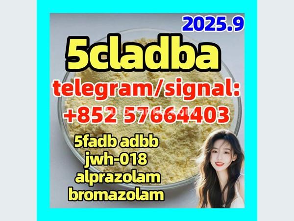 high quality yellow powder 5cladba ADBB 5CL-ADB-A ship door to door