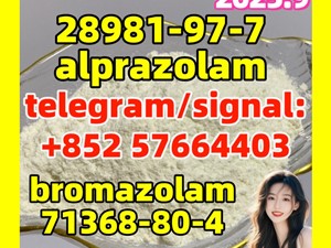 28981-97-7 alprazolam  71368-80-4  bromazolam Benzodiazepines White Powder Top quality
