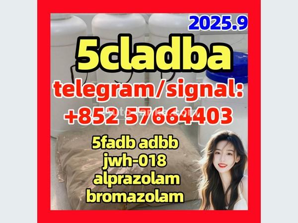 Chemical adbb 5cladba precursor raw material