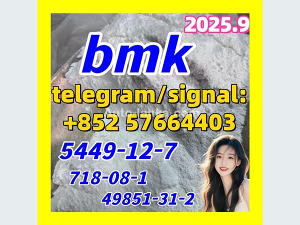 5449-12-7 New BMK Powder glycerin acid  49851-31-2