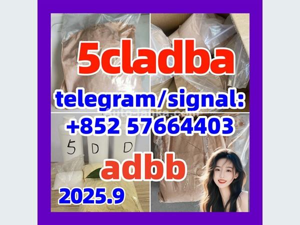 Strongest 5cladba raw material adbb precursor powder liquid dmf
