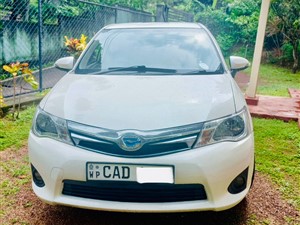 Axio Hybrid for Rent