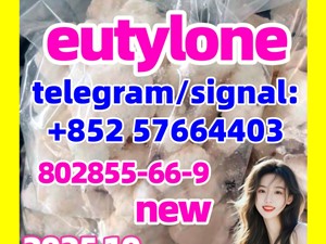 eutylone 802855-66-9 safe delivery in stock