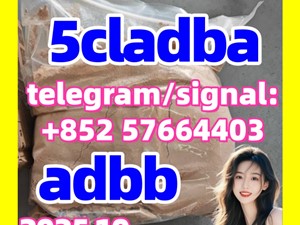 5cladba raw material 5CL-ADB-A precursor raw 5cladba 5f adb