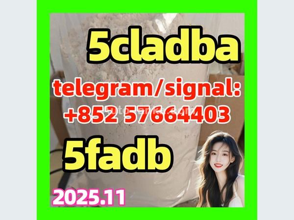 5cladba Original Product Name 5clAdba Synonyms 5clAdba CAS NO. 137350-66-4 Purity Above 99 |