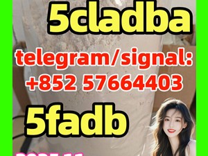 5cladba Original Product Name 5clAdba Synonyms 5clAdba CAS NO. 137350-66-4 Purity Above 99 |