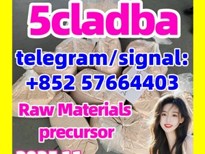 5cladba raw material 5CL-ADB-A precursor raw 5cladba 5f adb