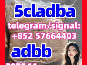 5cladb 5CL-ADB-a High quality Powder 5cladba Raw material