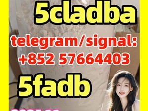 High quality 5CLADBA, 5CL-ADB-A , 5cl, 4FADB, 5cladba main ingredients With best Vendor