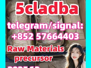5cladba 5cl precursors 5cl-adb-a 5cladb-a 6cladba k2 powder spice raw materials DMF