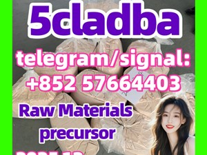 5cladba 5cl precursors 5cl-adb-a 5cladb-a 6cladba k2 powder spice raw materials DMF