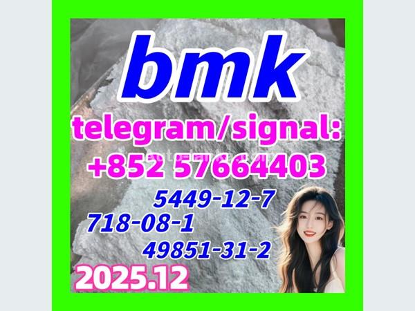 2022 bmk powder cas 5449-12-7 bmk glycidate acid in stock