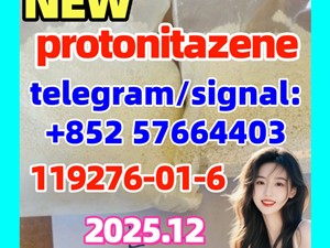 119276-01-6 protonitazene hcl