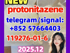 CAS 119276-01-6 Protonitazene