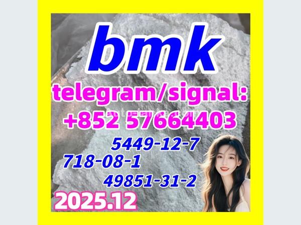 BMK Powder/Oil CAS 5449-12-7 with Germany Stock