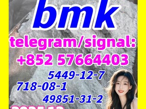 BMK Powder/Oil CAS 5449-12-7 with Germany Stock