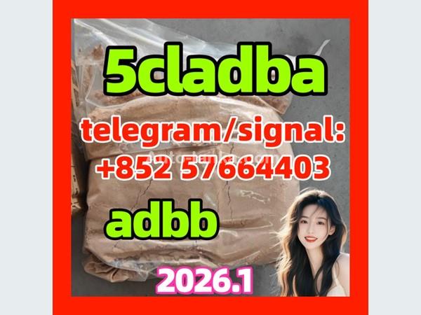 5cladba raw material 5CL-ADB-A precursor