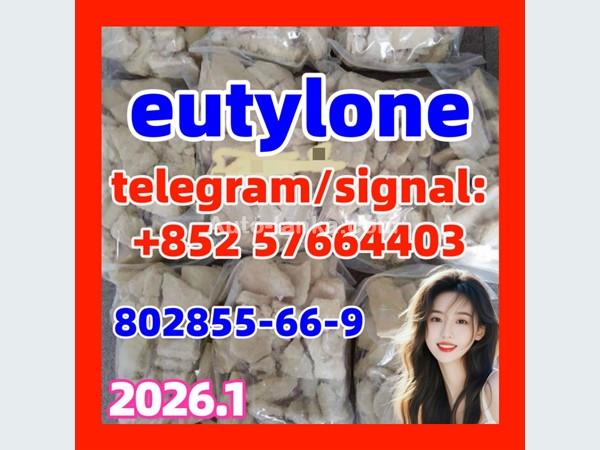 Eutylone Bk-ebdb Cas 802855-66-9/17764-18-0 at Best Price