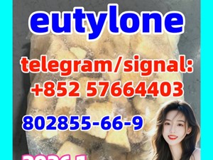 Eutylone 802855-66-9 China suppliers