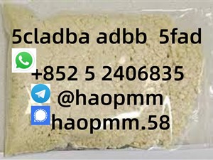 5fadb  5cladba raw material 5CL-ADB-A precursor raw   Tim please contact me.