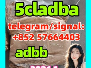 5cladba Yellow Cannabinoid Powder 5cladbb 5fadb at Best Price in Hong Kong