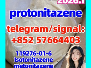 CAS 119276-01-6 Protonitazene (hydrochloride)