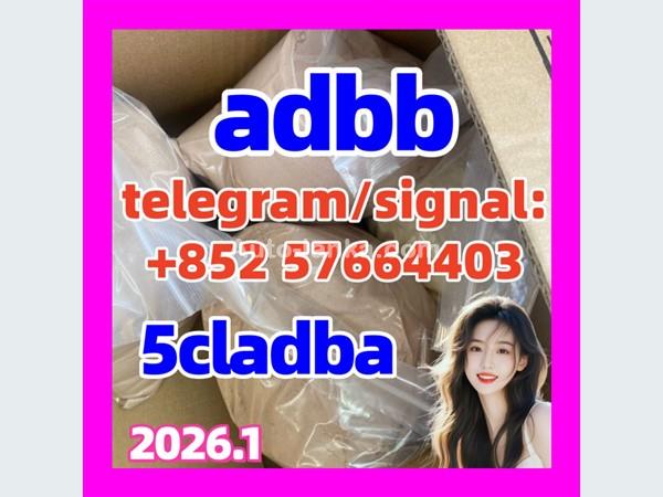 5cladba raw material 5CL-ADB-A precursor raw 5cladba 5f adb