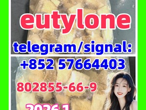 Eutylon bk-ebdb 802855-66-9/17764-18-0