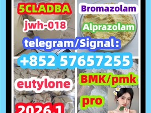 High quality CAS:119276-01-6 Protonitazene