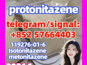 Protonitazene hydrochloride CAS 119276 01 6 五个百分点