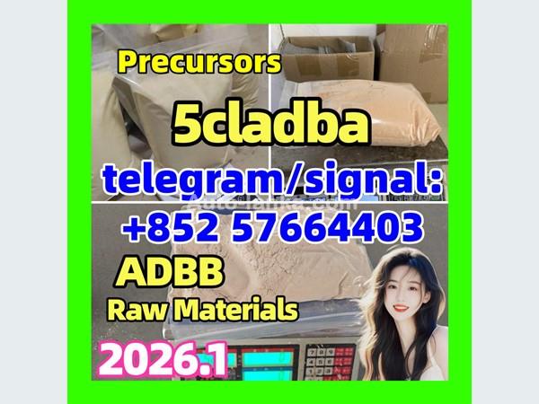 5CL-ADB-A powder 5-cl-adb-a Research Chemical Powders 5cladba Hot  precursor Cannabinoids 1119-51-3 68-12-2 dmf