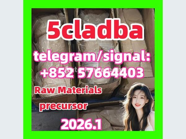 5cl-adb Powder Supplier 5cl Adb 5cladba In Stock at Best Price  precursor Cannabinoids 1119-51-3 68-12-2 dmf