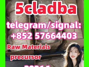 5cl-adb Powder Supplier 5cl Adb 5cladba In Stock at Best Price  precursor Cannabinoids 1119-51-3 68-12-2 dmf
