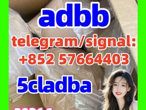 5cladba 5cladb Raw material 5CL-ADB-a 5fadb  precursor Cannabinoids 1119-51-3 68-12-2 dmf