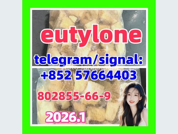 Eutylone 802855-66-9 k5 High qualiyt in stock  17764-18-0 mdma molly apvp 3mmc 4mmc