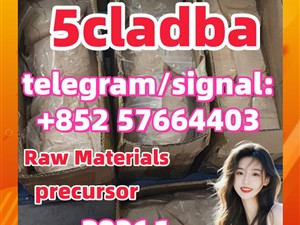 5cladba Raw Material Supply for Sale  precursor Cannabinoids