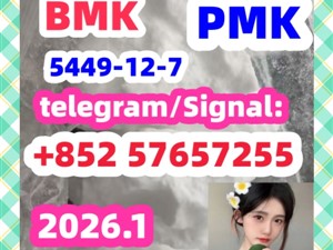 BMKpmk Glycidic Acid sodium salt CAS 5449 - 12 - 7