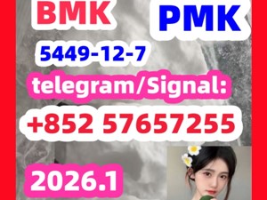 BMK Glycidic Acid sodium salt CAS 5449 - 12 - 7