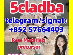 5cladba adbb raw material 5CL-ADB-A precursor raw 5cladba 5f adb 4fadb 自行车