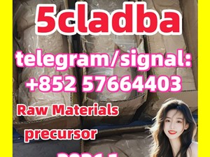 Sell 5cladba adbb JWH-018 5FADB in stock