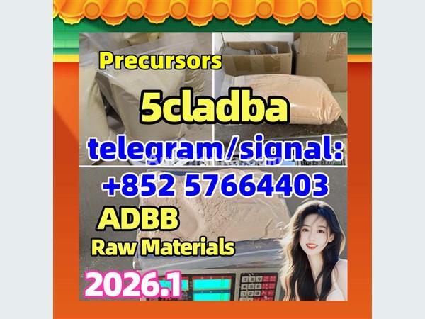 5cladba best cannabinoid 5cladba precursor raw 5cl-adb-a in stock