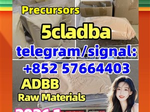5cladba best cannabinoid 5cladba precursor raw 5cl-adb-a in stock