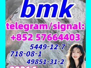 CAS 5449-12-7 BMK Glycidic Acid-bmk powder-factory supply