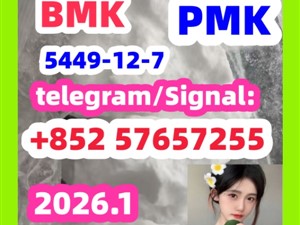 BMK Glycidic Acid sodium salt CAS 5449 - 12 - 7